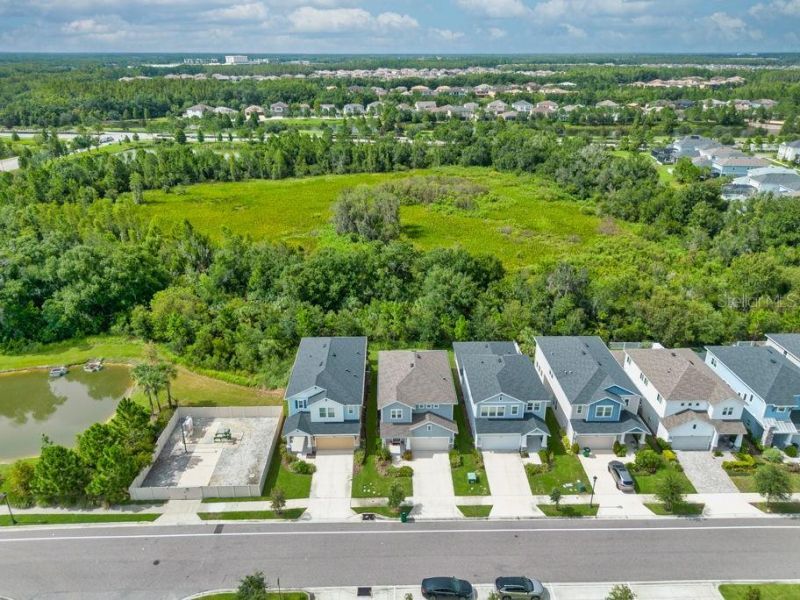 28583 Cozy Creek Drive , Wesley Chapel, FL 33543 Photo