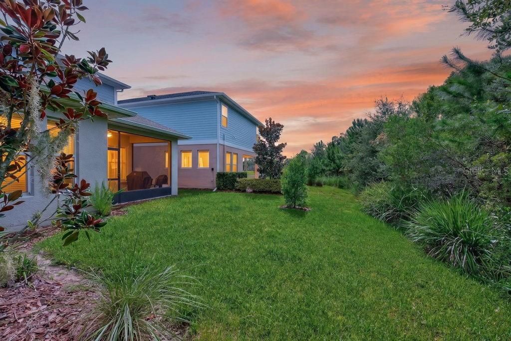 28583 Cozy Creek Drive , Wesley Chapel, FL 33543 Photo