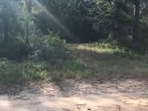 000 S Eden Park Drive, Santa Rosa Beach, FL 32459