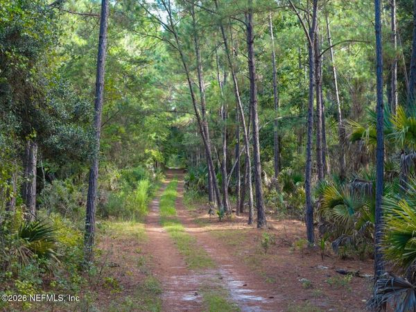 402 SIESTA Drive, Georgetown, FL 32139