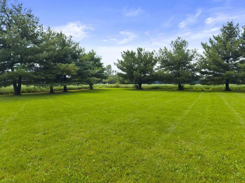6349 Marion Marysville Road, Prospect, OH 43342 Photo 76