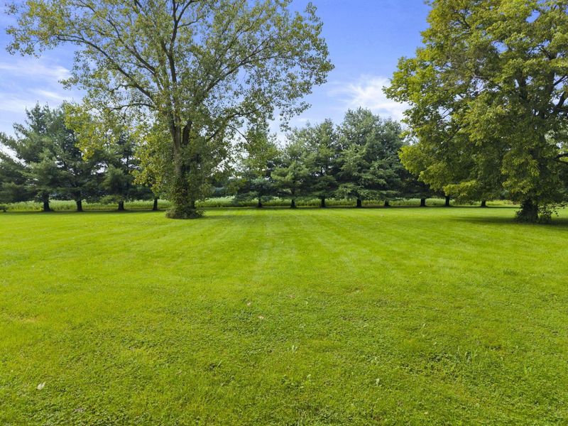 6349 Marion Marysville Road, Prospect, OH 43342 Photo 80