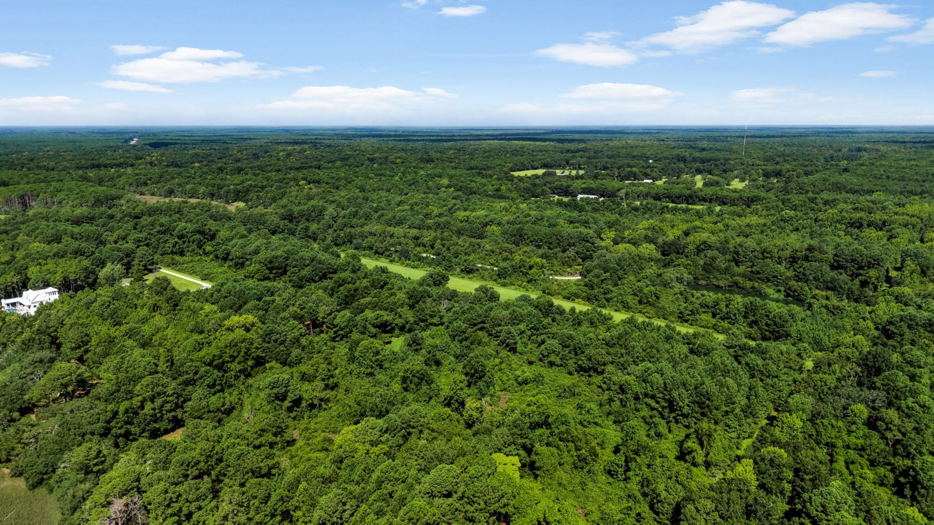 1007 Morants Point Road Photo 11