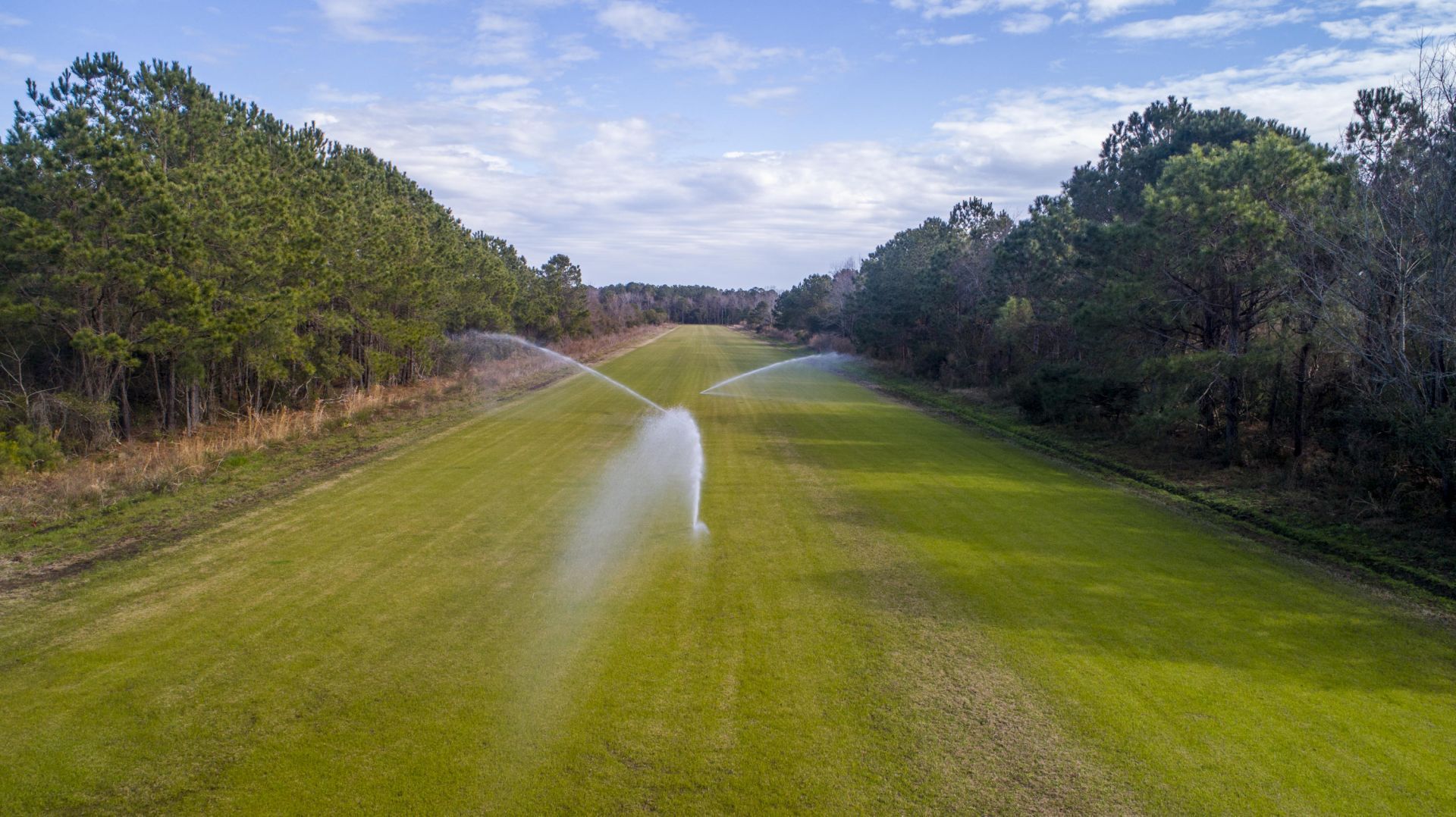 1007 Morants Point Road Photo 15