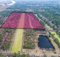 1007 Morants Point Road Photo 19