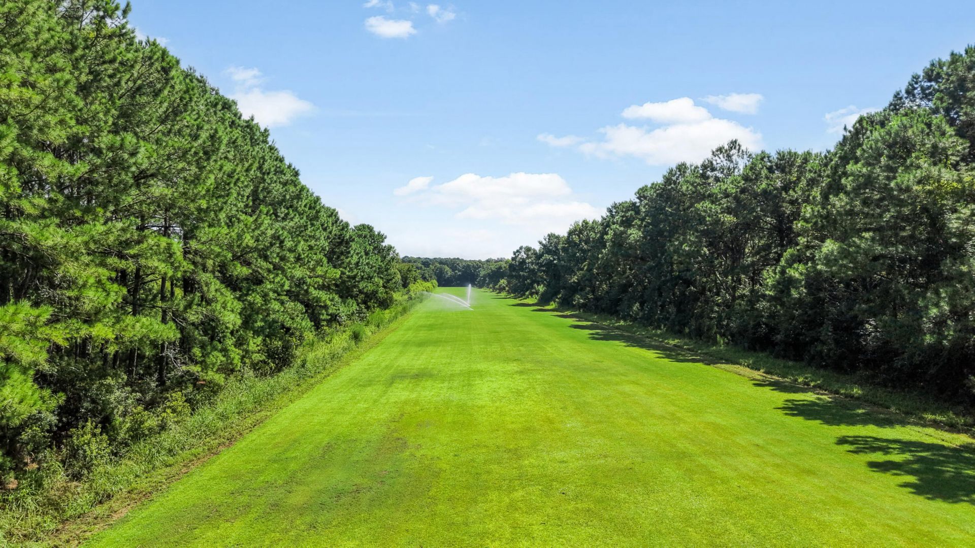 1007 Morants Point Road Photo 27