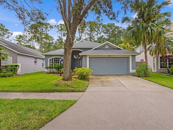 10420 SPRINGROSE DRIVE , TAMPA, FL 33626