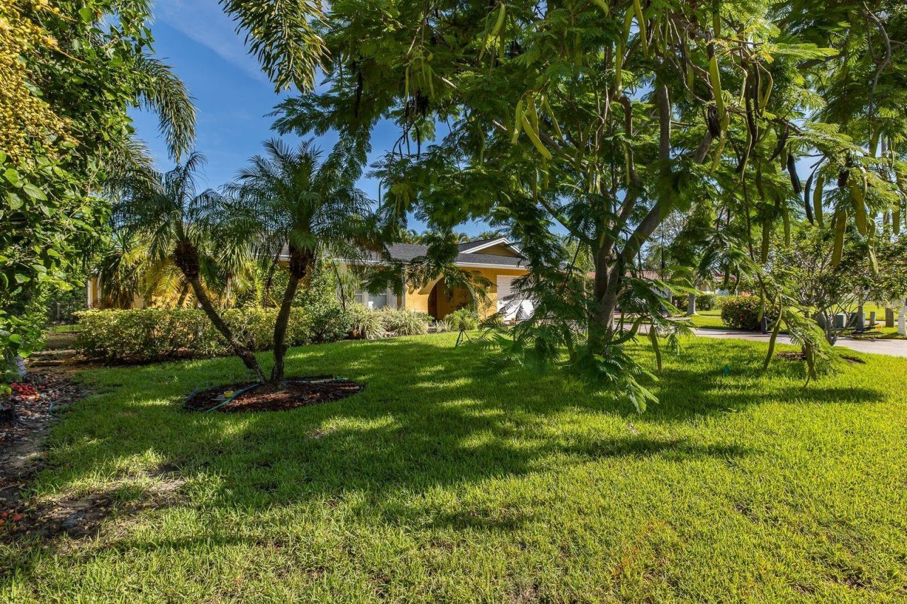 11555 Pine Street, Seminole, FL 33772 Photo