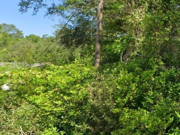 19667 FLAMINGO DRIVE , DUNNELLON, FL 34431