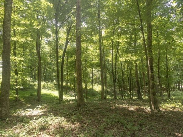 123 County Road 5 , Calhoun, TN 37309