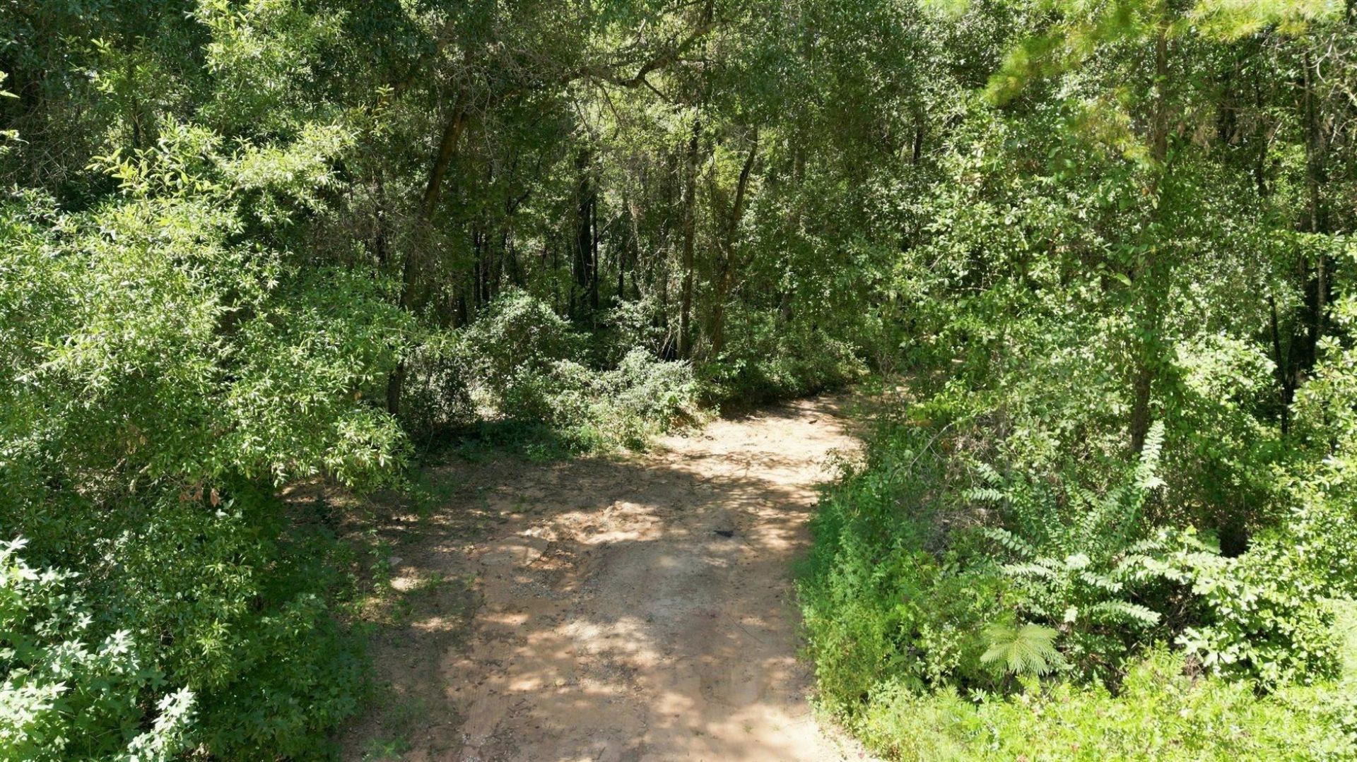 2640 James Duhard Way, Tallahassee, FL 32308 Photo