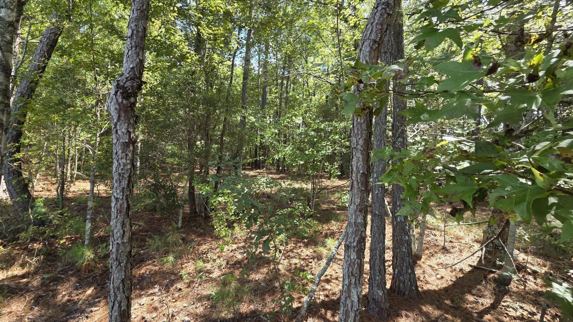1331 N Brewington Road Photo 59