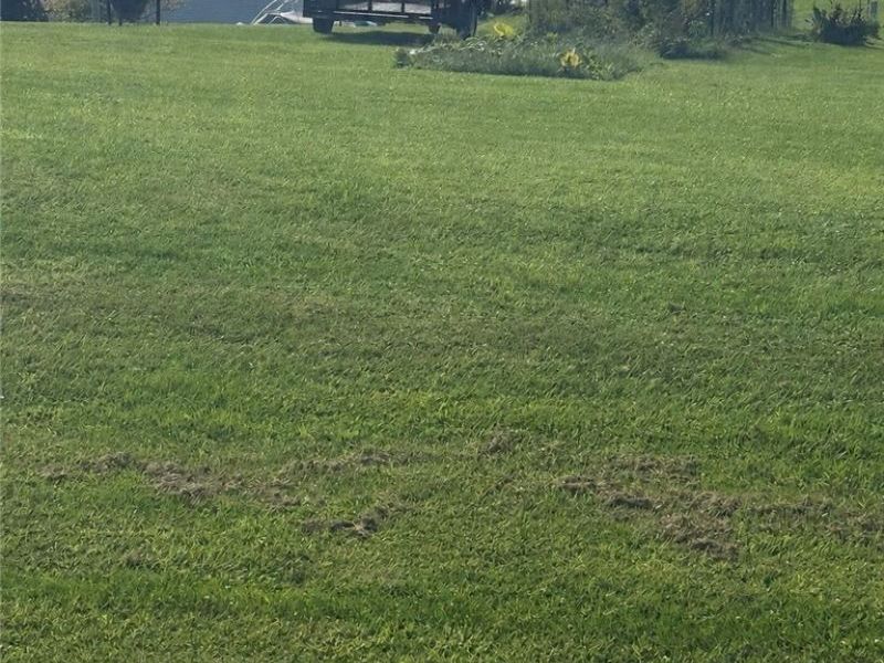 0 County Rd 5, Adena, OH 43901 Photo 1