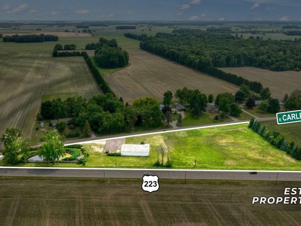 5550 E Carleton Road, Palmyra, MI 49268