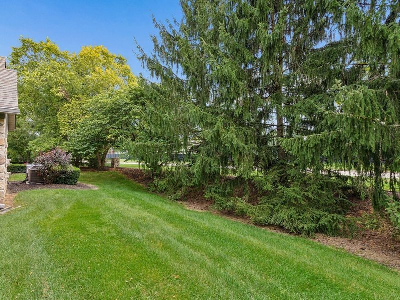 8612 Stonewoods Lane, Powell, OH 43065 Photo 32
