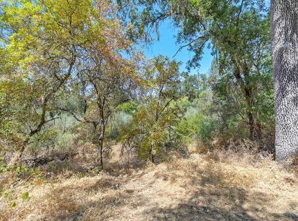 Browns Rd, Placerville, CA 95667 Photo