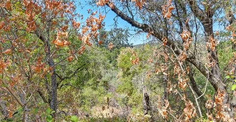 Browns Rd, Placerville, CA 95667 Photo