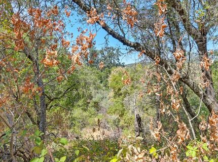 Browns Rd, Placerville, CA 95667 Photo