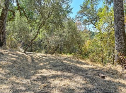 Browns Rd, Placerville, CA 95667 Photo