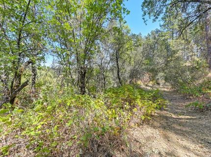 Browns Rd, Placerville, CA 95667 Photo