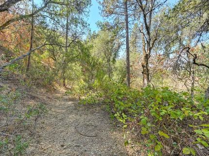 Browns Rd, Placerville, CA 95667 Photo