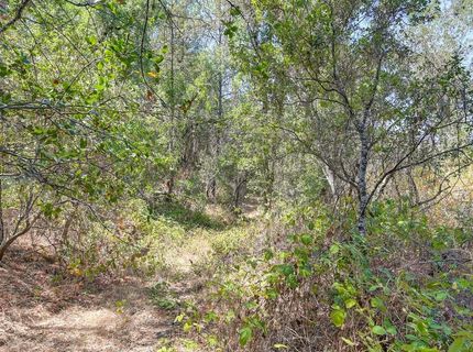Browns Rd, Placerville, CA 95667 Photo