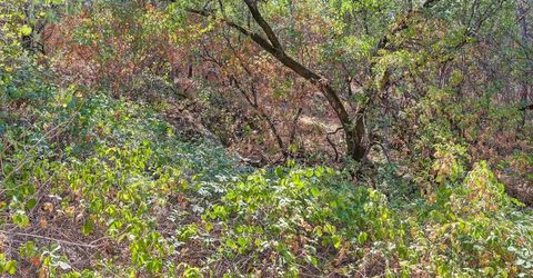 Browns Rd, Placerville, CA 95667 Photo