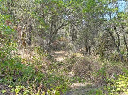 Browns Rd, Placerville, CA 95667 Photo