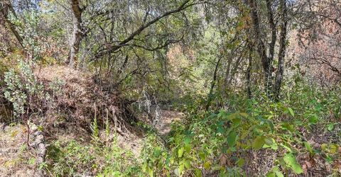 Browns Rd, Placerville, CA 95667 Photo