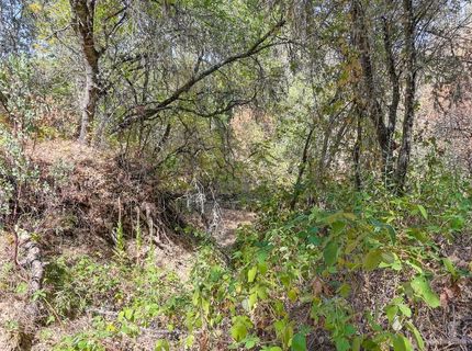 Browns Rd, Placerville, CA 95667 Photo