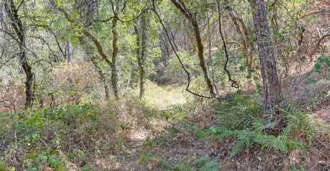 Browns Rd, Placerville, CA 95667 Photo