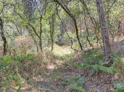 Browns Rd, Placerville, CA 95667 Photo