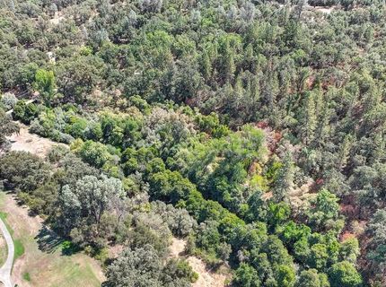 Browns Rd, Placerville, CA 95667 Photo