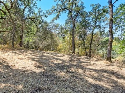 Browns Rd, Placerville, CA 95667 Photo