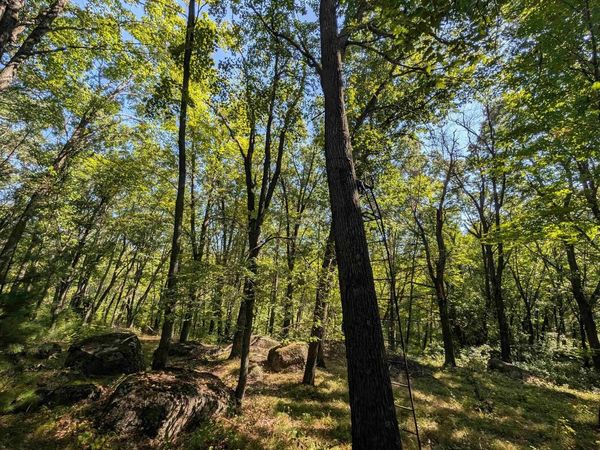 N6161 COUNTY ROAD K, Ogdensburg, WI 54945
