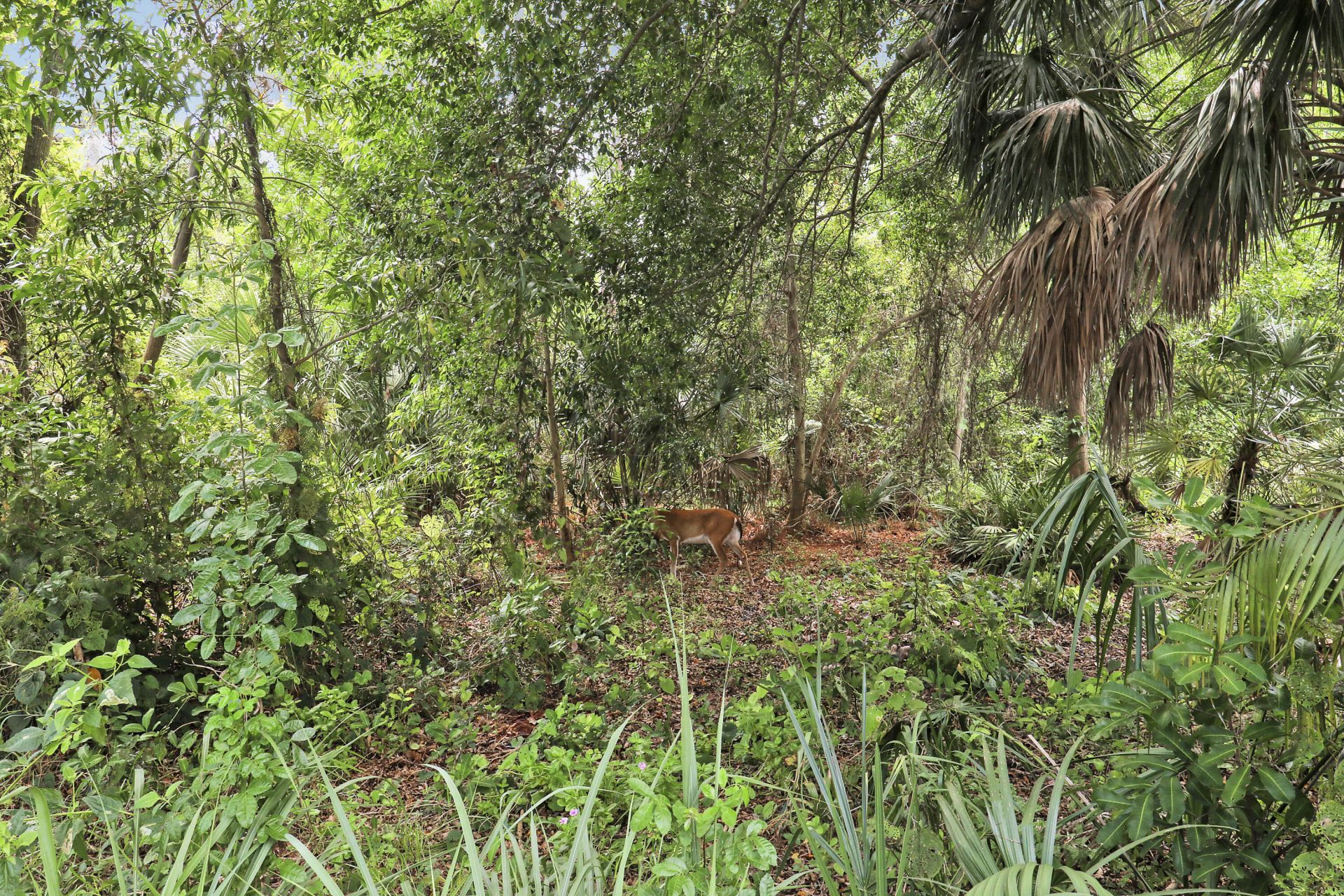 18081 SE Country Club Drive, Unit 37-361, Tequesta, FL 33469 Photo