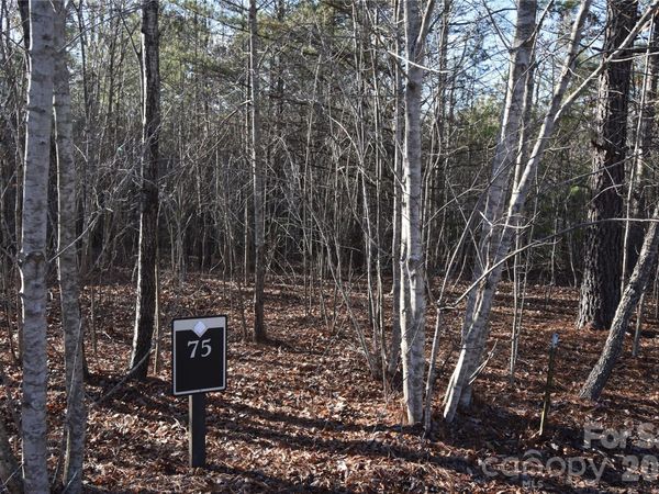 Lot 75 Tayberry Drive , Nebo, NC 28761