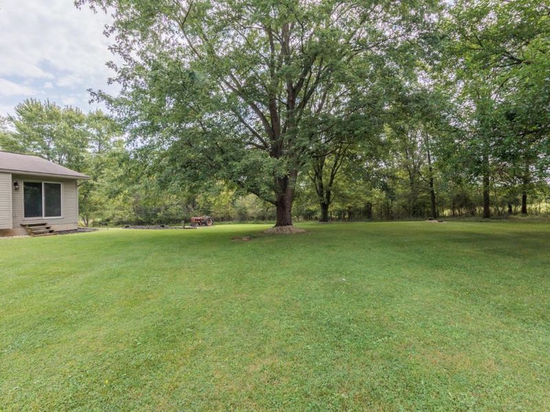 246 Portage Path, Willard, OH 44890 Photo 59