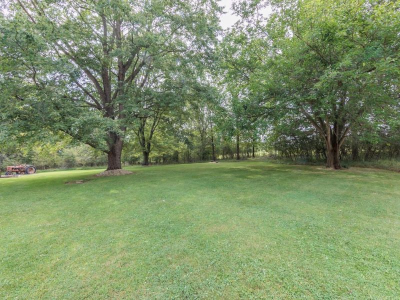 246 Portage Path, Willard, OH 44890 Photo 60