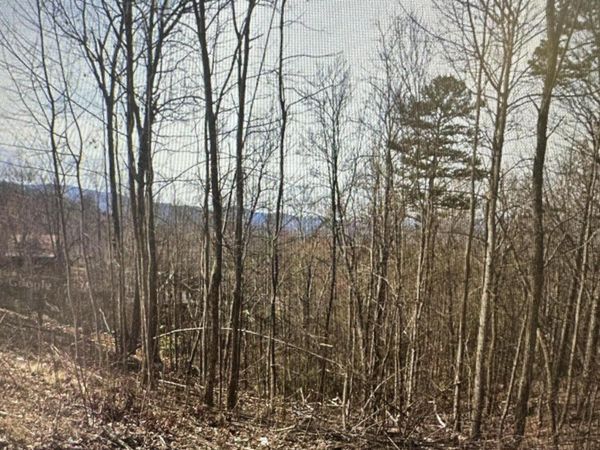 1921 Battle Top Road, Sevierville, TN 37876