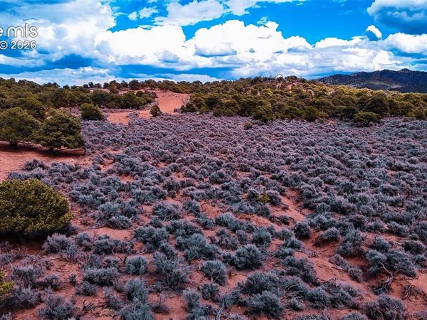 3687 Schiefflin Road, Fort Garland, CO 81133