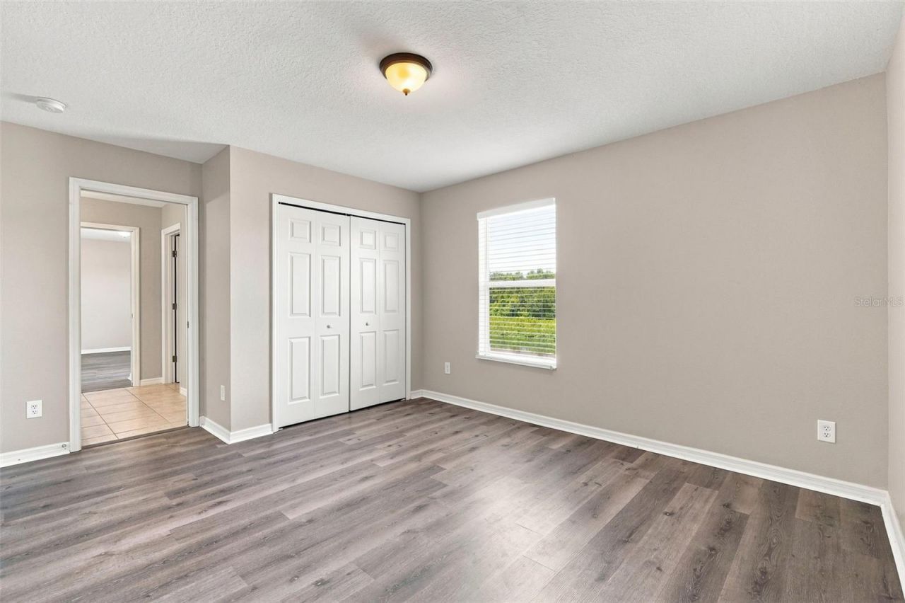 5123 Cello Wood Lane, Wesley Chapel, FL 33543 Photo