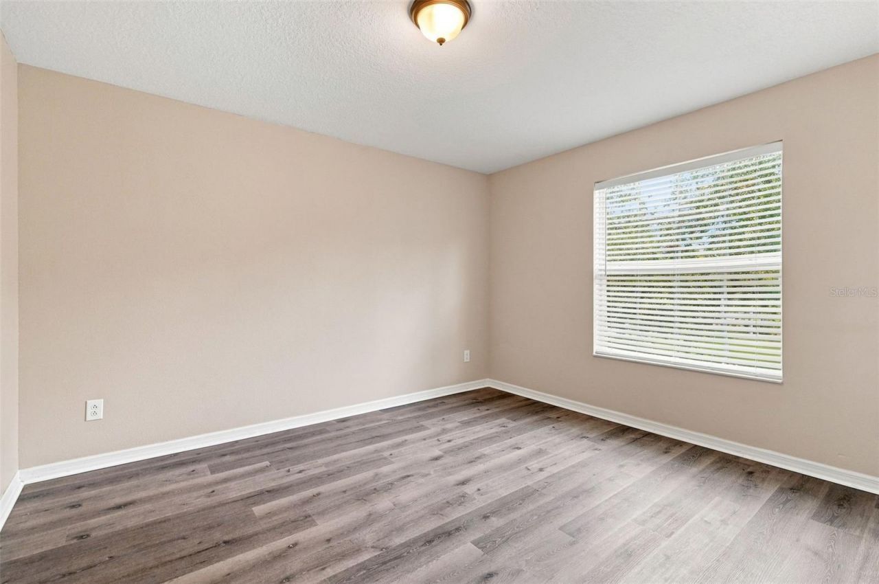 5123 Cello Wood Lane, Wesley Chapel, FL 33543 Photo