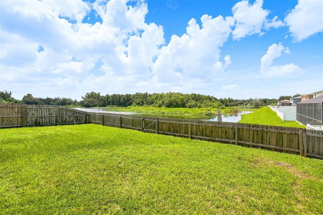 5123 Cello Wood Lane, Wesley Chapel, FL 33543 Photo
