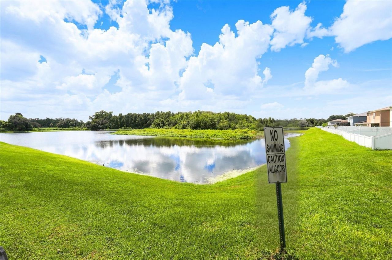 5123 Cello Wood Lane, Wesley Chapel, FL 33543 Photo