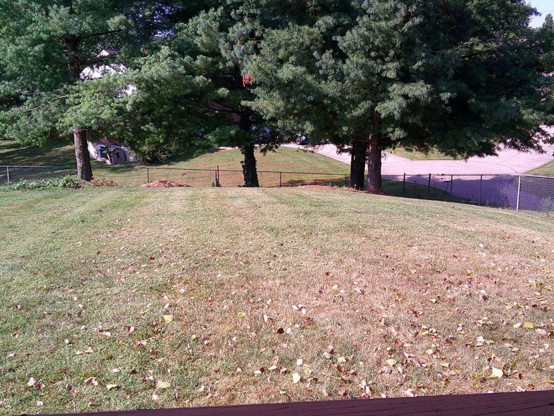 7709 Cannon Valley Drive, Florence, KY 41042 Photo 5