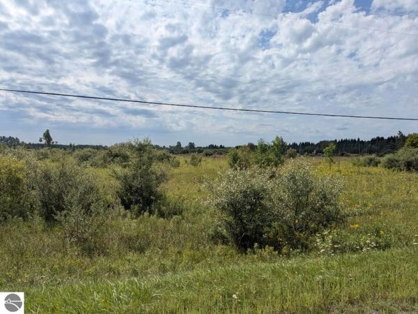 Curtis Road, Hale, MI 48739