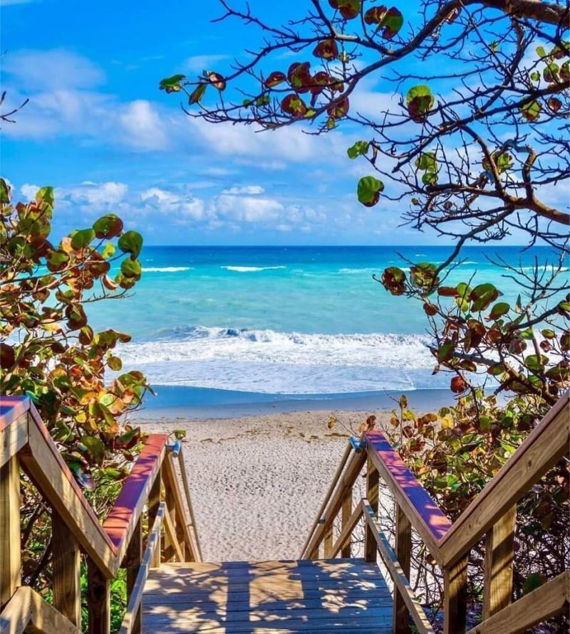 1801 S Us Highway 1 Highway, Unit 6A, Jupiter, FL 33477 Photo