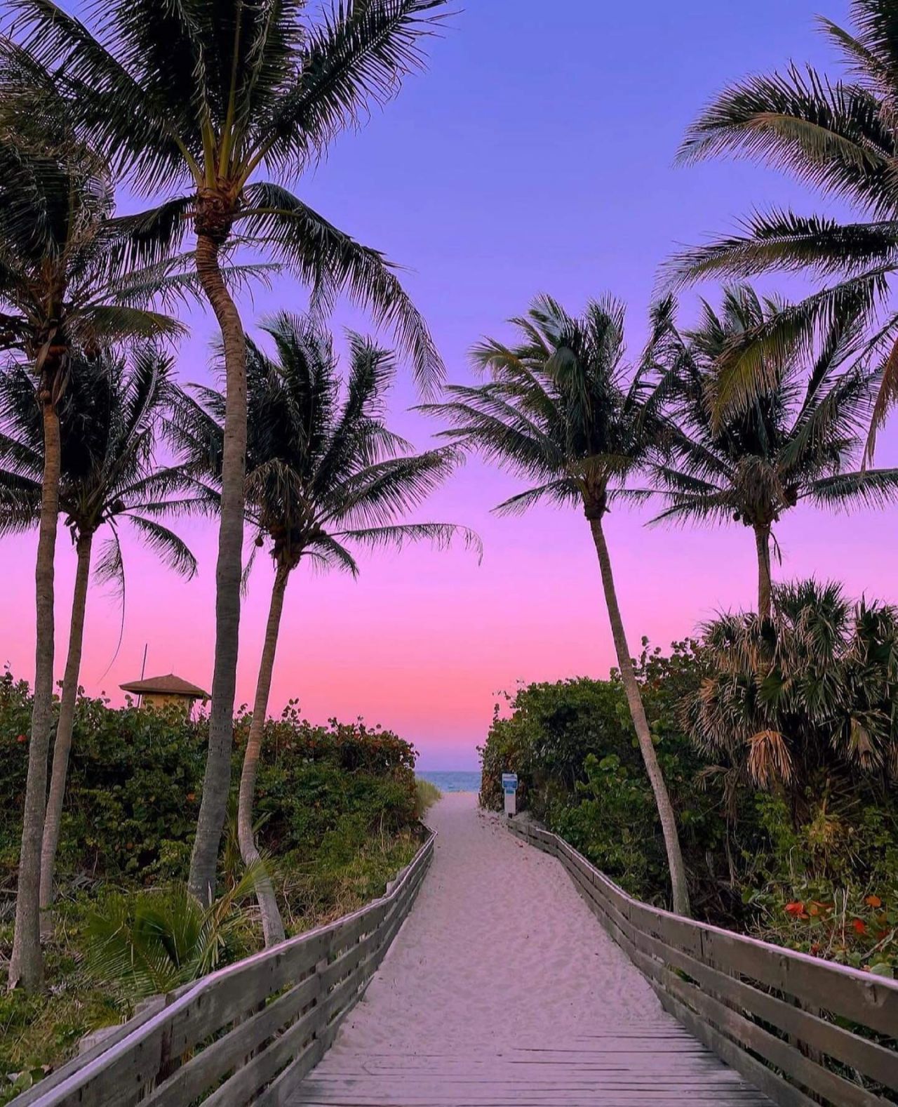 1801 S Us Highway 1 Highway, Unit 6A, Jupiter, FL 33477 Photo