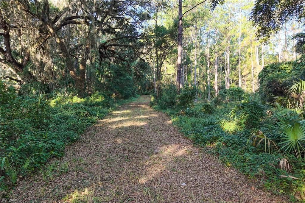 6301 E County Road 316, Citra, FL 32113 Photo